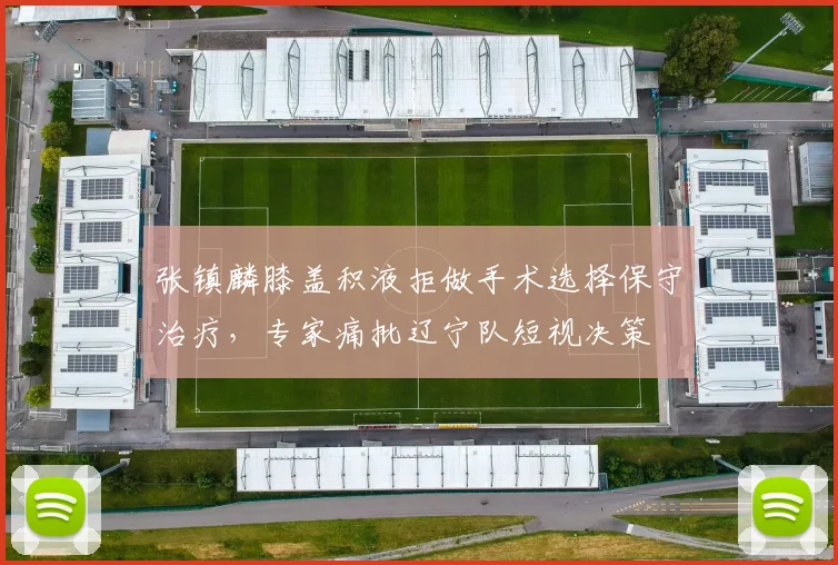 张镇麟膝盖积液拒做手术选择保守治疗，专家痛批辽宁队短视决策